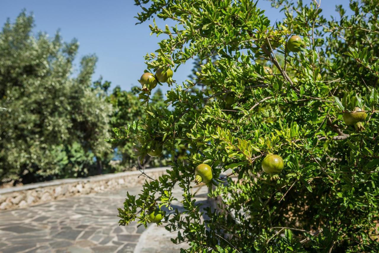 Ploes Luxury Cottages Pesádha Exterior foto